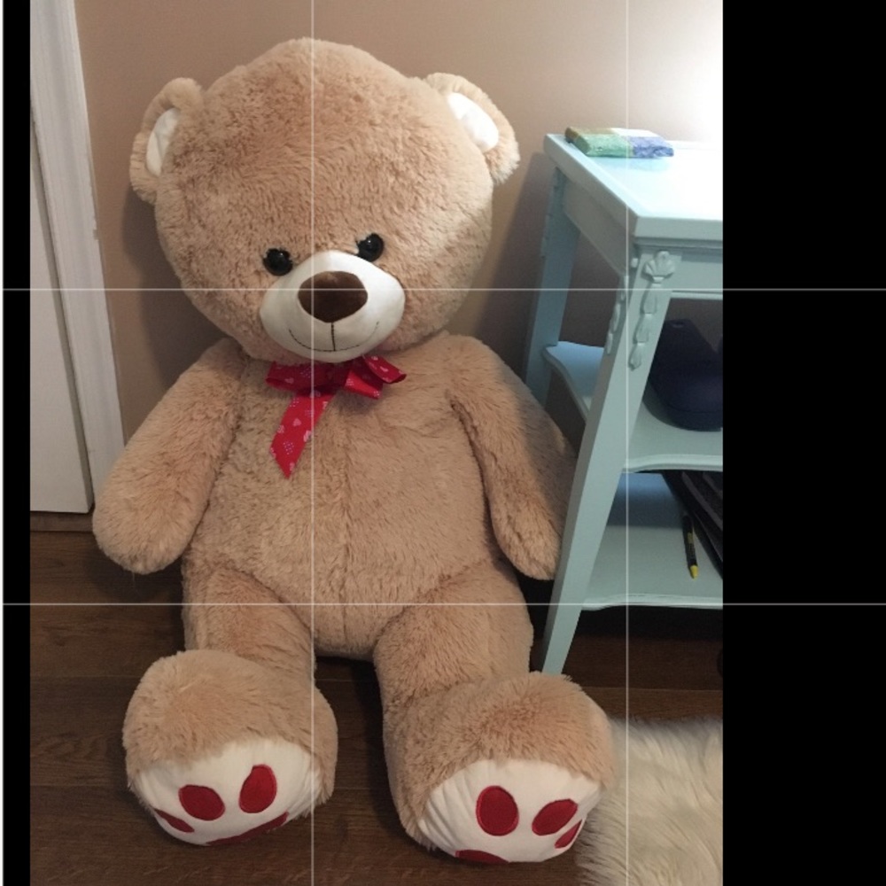 3 1/2 ft teddy bear